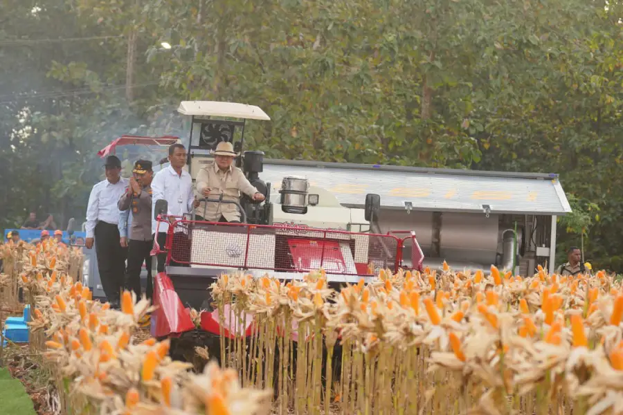 Serius Dorong Ketahanan Pangan, Presiden Prabowo Pilih Turun Langsung Panen Raya Jagung di Tuban