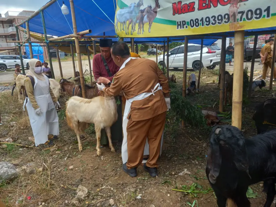 Monitoring Lapak Hewan Kurban, DKPP Sumenep Soroti Kebersihan dan Minta Pengelola Bertanggung Jawab Penuh